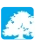 IBS International Business School